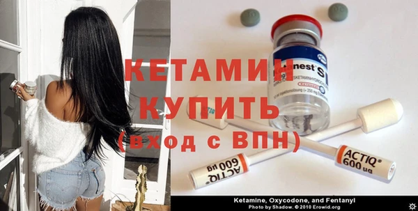 прущие грибы Беломорск