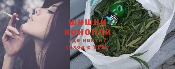 прущие грибы Беломорск