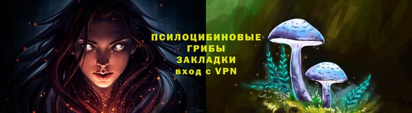 прущие грибы Беломорск