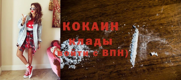 прущие грибы Беломорск