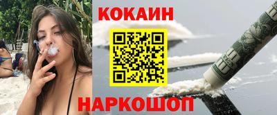 стаф Дубна