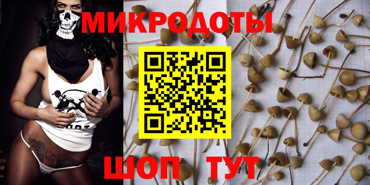 Галлюциногенные грибы ЛСД Новый Уренгой
